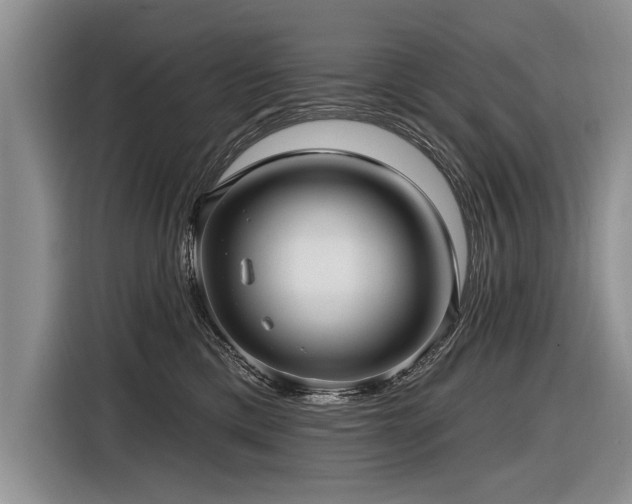X0000116890425200912221457