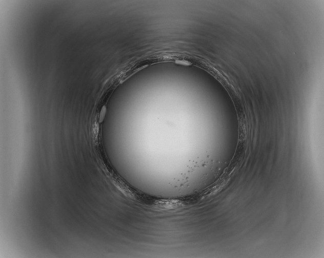 X0000116890427200912221457