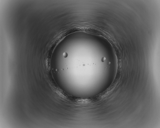 X0000116890428200912221457