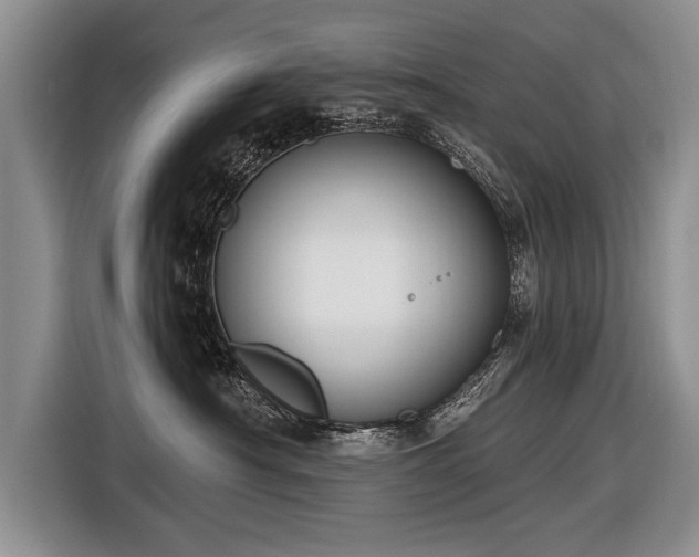 X0000116890430200912221457