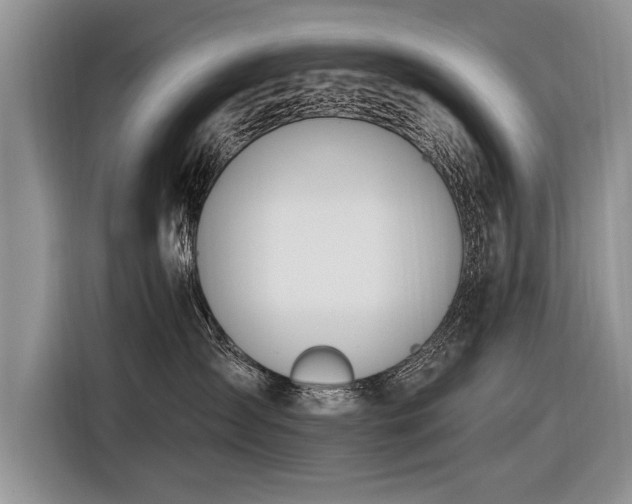 X0000116890431200912221457