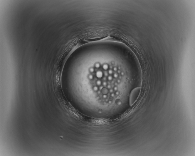 X0000116890432200912221457