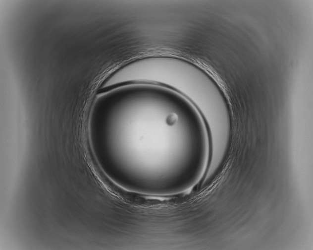 X0000116890433200912221456