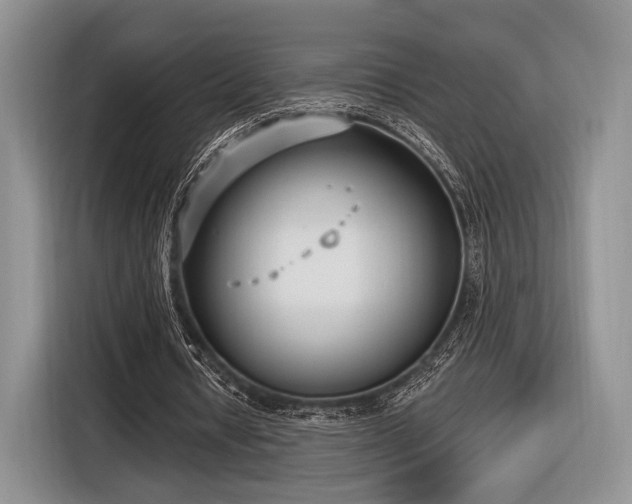 X0000116890434200912221456