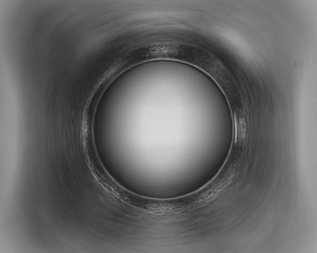 X0000116890435200912221456
