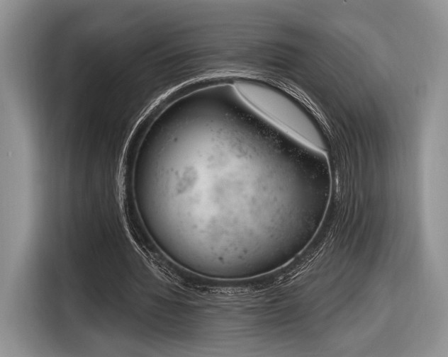 X0000116890436200912221456