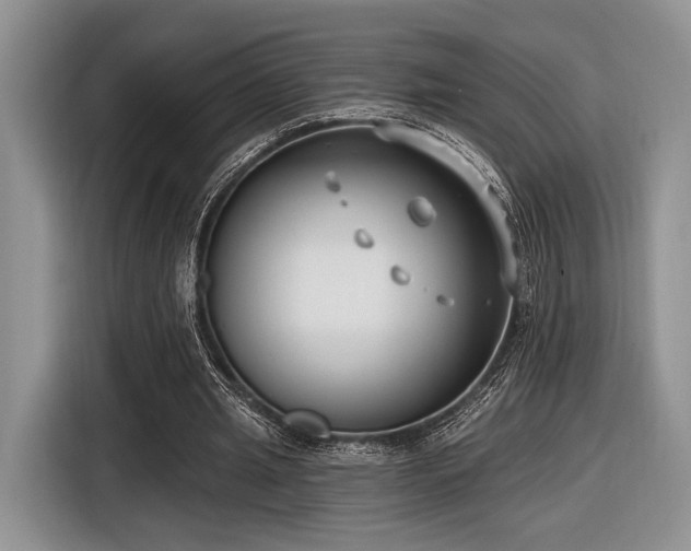 X0000116890437200912221456