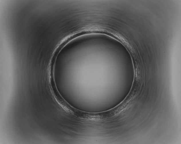 X0000116890438200912221456