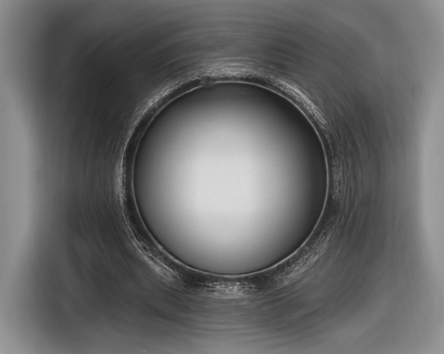 X0000116890439200912221456