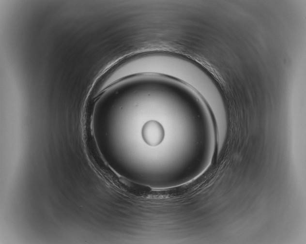 X0000116890440200912221456