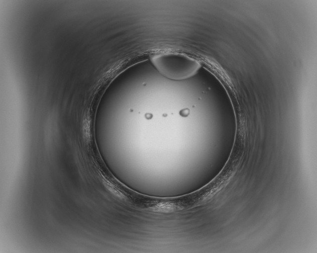 X0000116890441200912221456