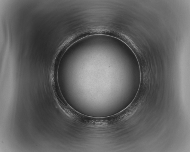 X0000116890443200912221456