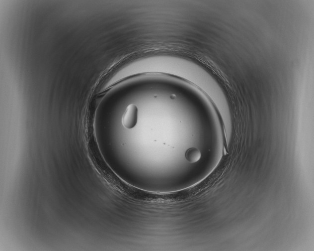 X0000116890444200912221456