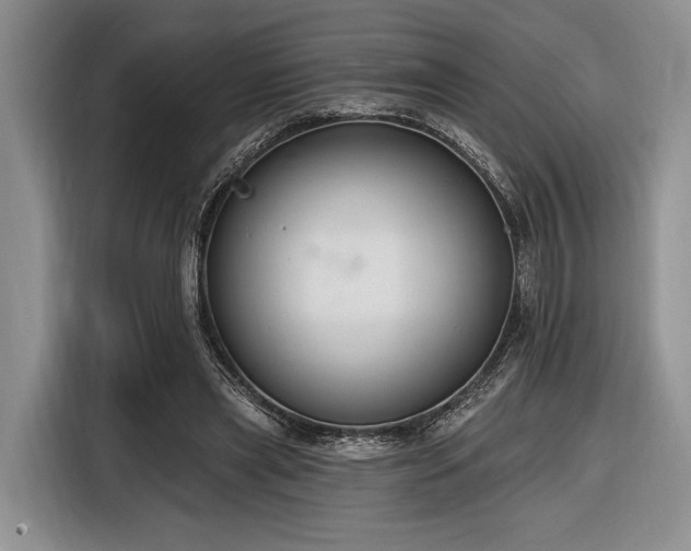 X0000116890445200912221456