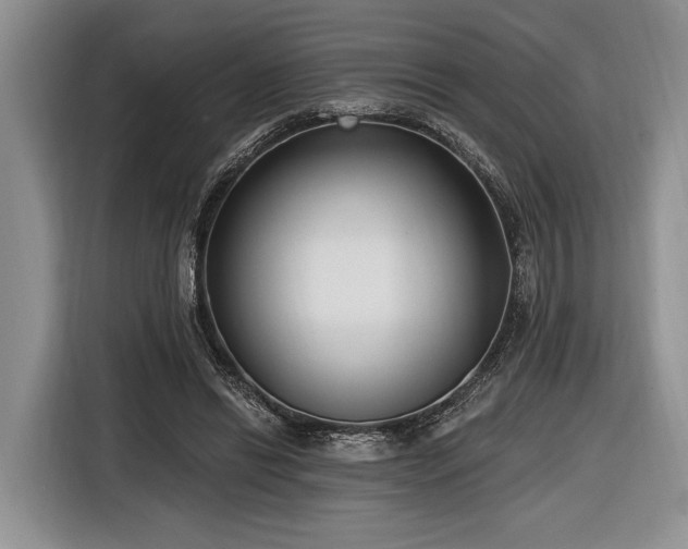 X0000116890446200912221456