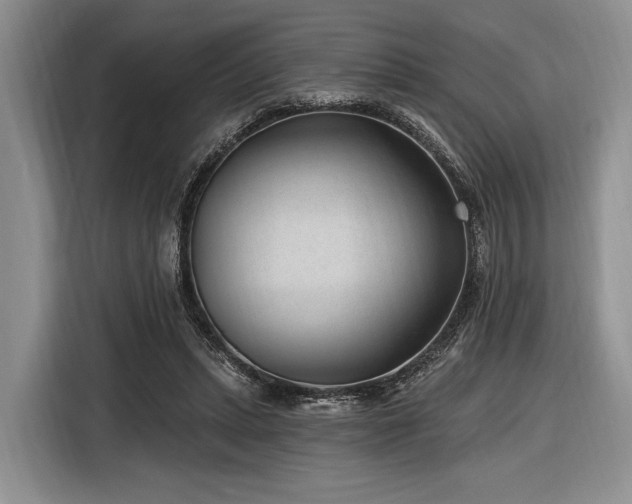 X0000116890447200912221456