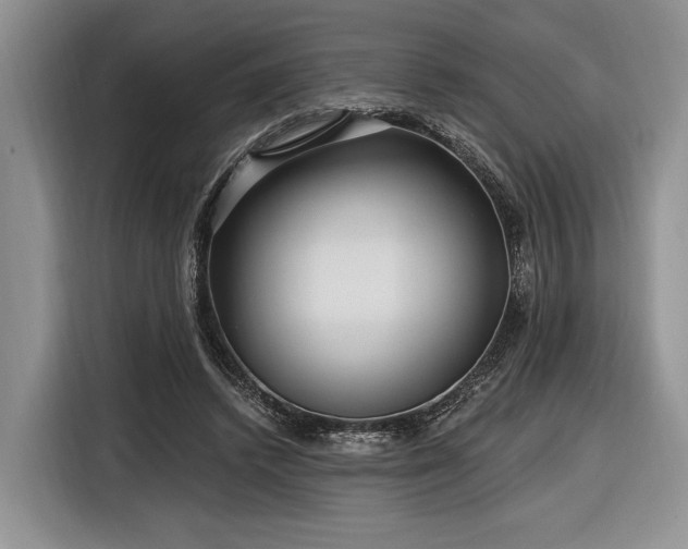 X0000116890448200912221456