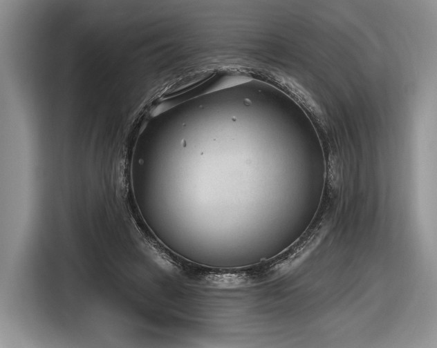 X0000116890449200912221456