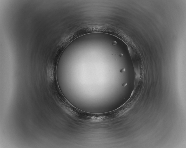 X0000116890450200912221456