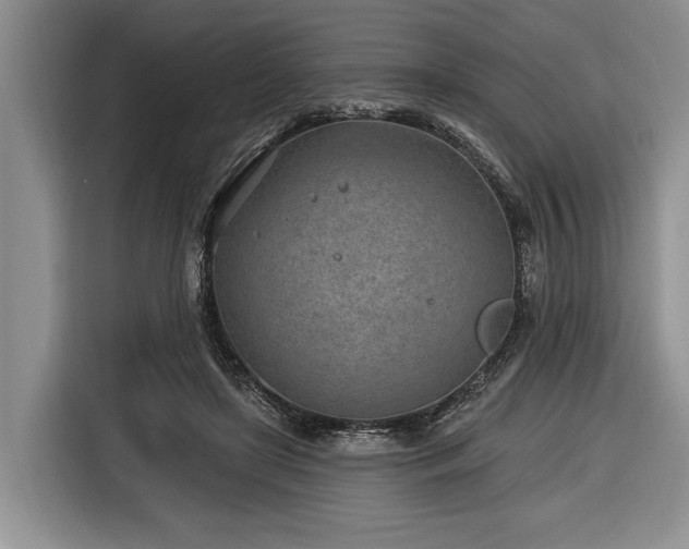 X0000116890451200912221457