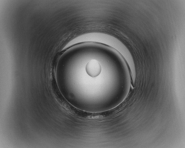 X0000116890452200912221457
