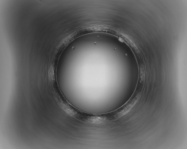 X0000116890453200912221457