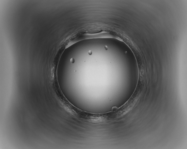 X0000116890454200912221457