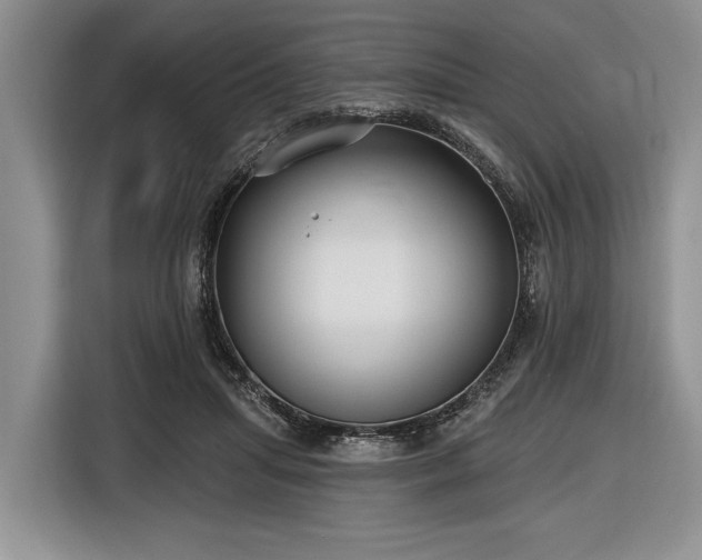 X0000116890455200912221457