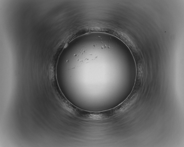 X0000116890457200912221457