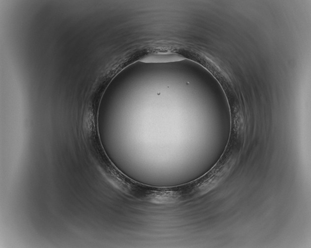 X0000116890459200912221457