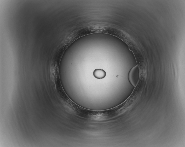 X0000116890460200912221457