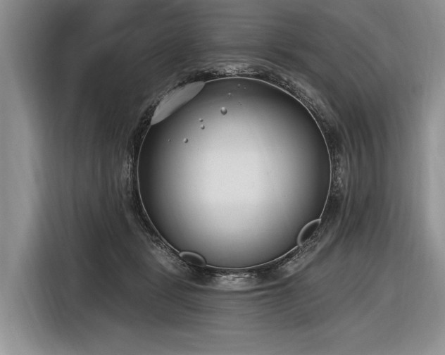 X0000116890461200912221457