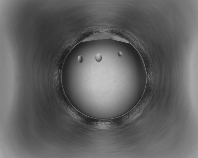 X0000116890462200912221457