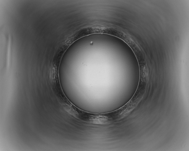 X0000116890463200912221457