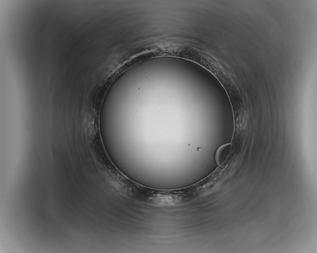 X0000116890464200912221457