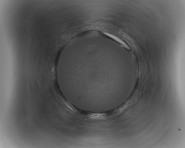 X0000116890465200912221457