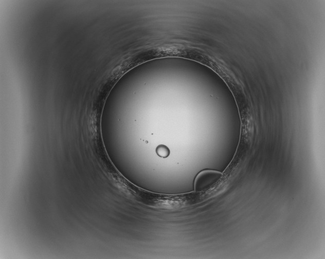 X0000116890466200912221457