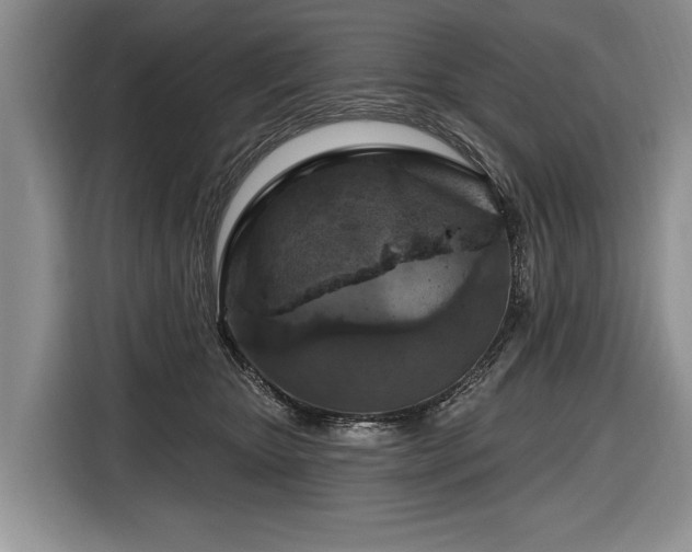 X0000116890467200912221457