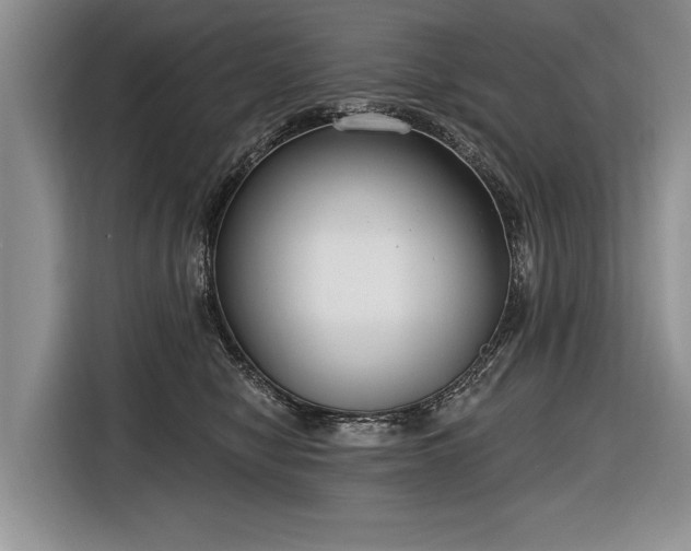 X0000116890470200912221457