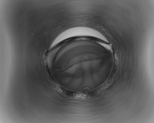 X0000116890471200912221457