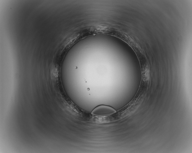 X0000116890472200912221457