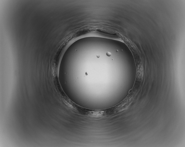 X0000116890474200912221457