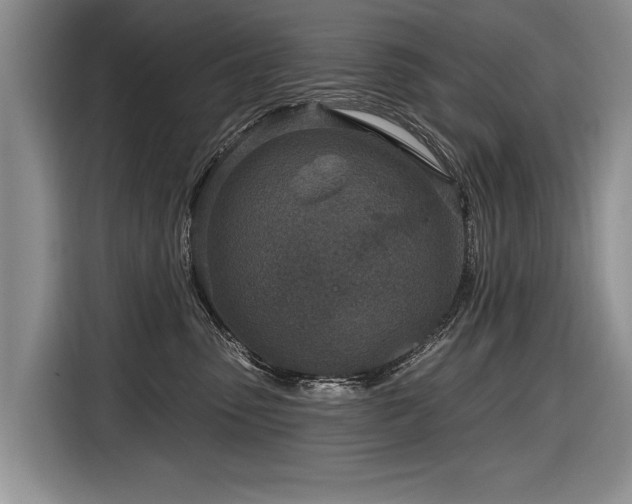 X0000116890475200912221457