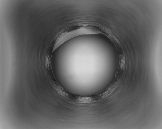 X0000116890476200912221457