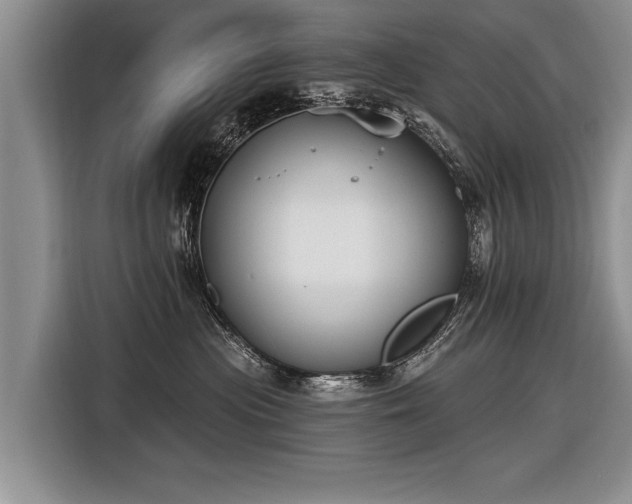 X0000116890477200912221457
