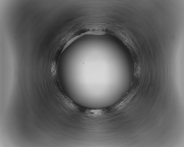 X0000116890478200912221457