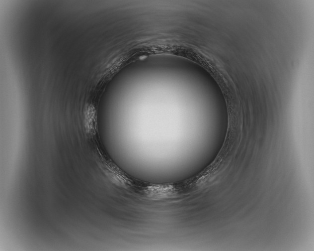 X0000116890480200912221457