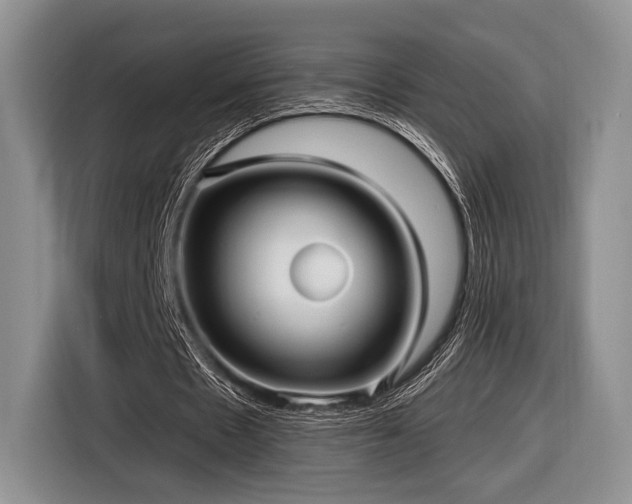 X0000116890481200912221456