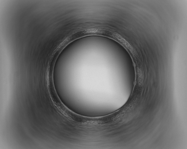 X0000116890482200912221456