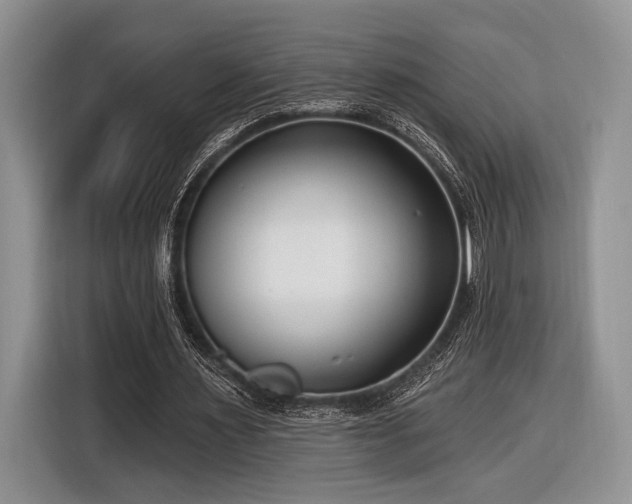 X0000116890483200912221456